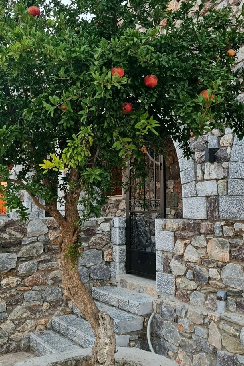 GREEKSALAT в LOOKY — фото 8