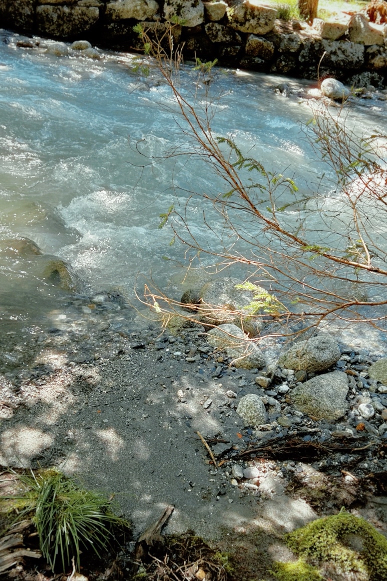 Photo_Mernaya в LOOKY — La nature Chamonix FR