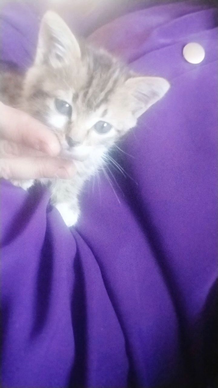 Анжела in LOOKY. . 