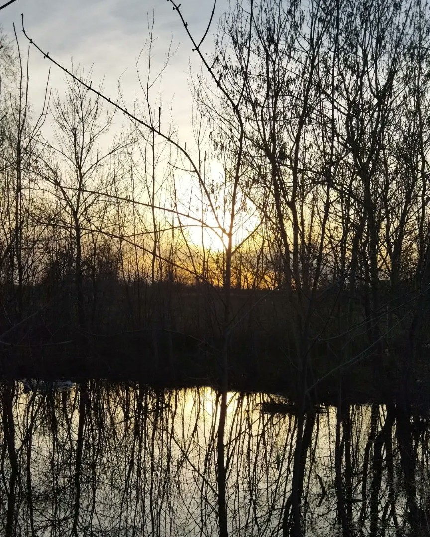 Lenapaskova в LOOKY — [#photo](photo) [#beautiful](beautiful) [#naturelove](nature