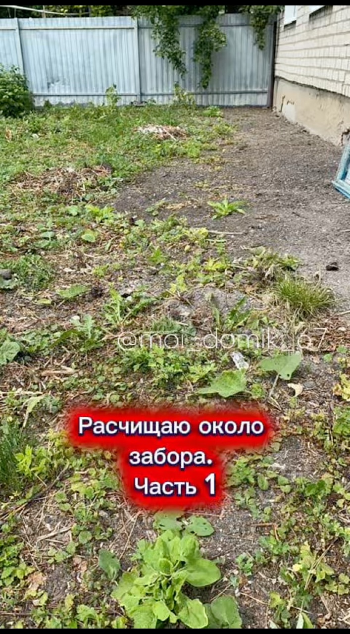 moi_domik_67 в LOOKY — Расчищаю около забора. Часть 1. #дом #дача #уборкатерритории