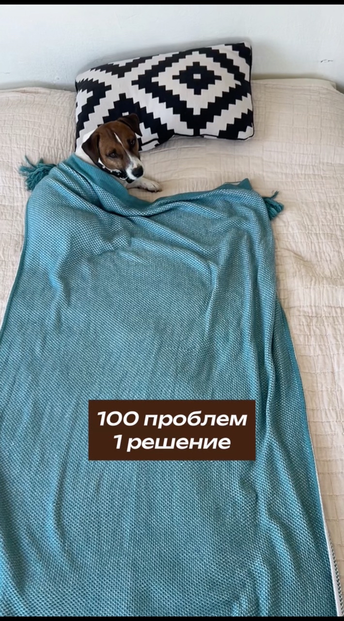 Собака Бэтмен в LOOKY. #150253274. Помогает в 100% случ...