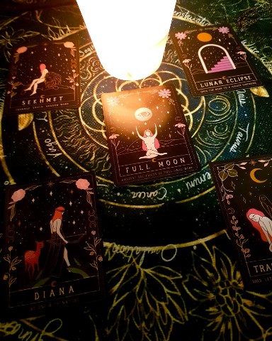 Verbena в LOOKY. #tarotreading,#tarot,#taro. #tarotreading #tarot...