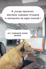 Emae_memes в LOOKY. #mem,#memes,#Ozon. #mem #memes #Ozon
