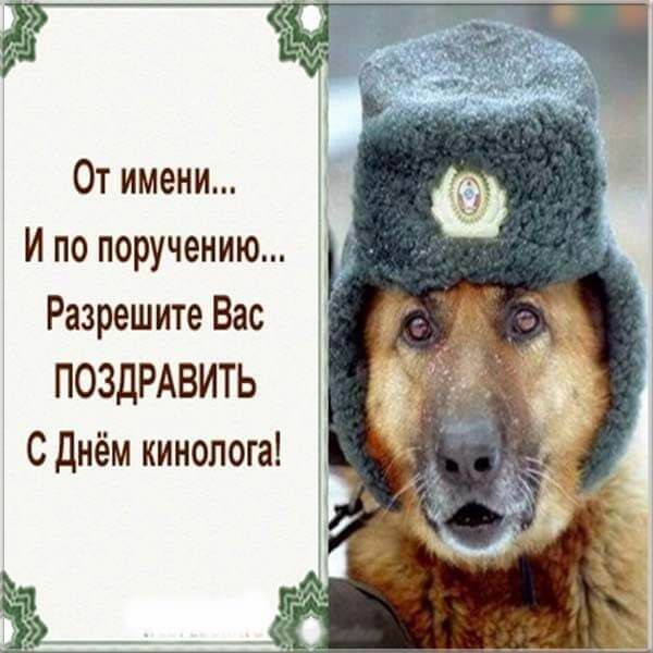 Татьяна Рогушина в LOOKY — публикация
