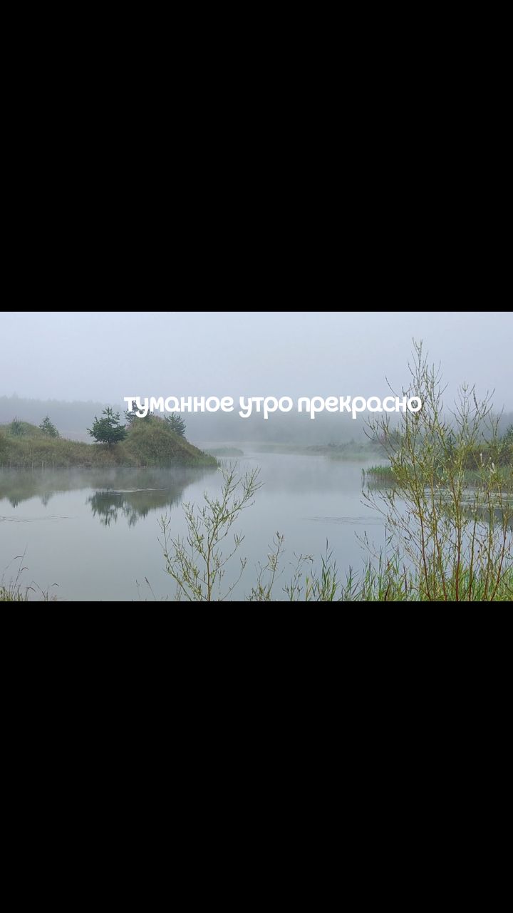 Kamenka in LOOKY