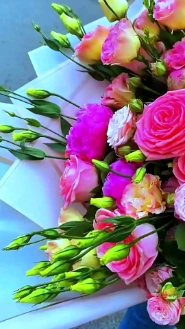  в LOOKY — ✨🌹🌹🌹🌹🌹✨