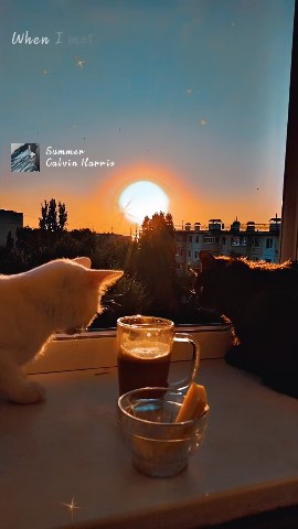 _valkiriya_liya в LOOKY. . Встречаем рассвет)