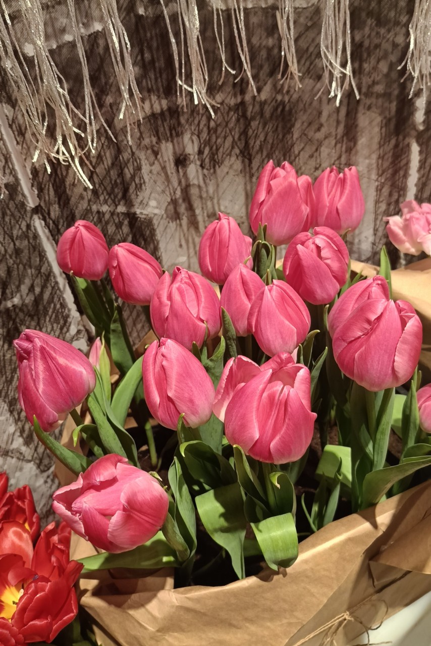 elena.bogdanovha в LOOKY. . 