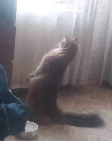 ХАнна в LOOKY. . Это тоже птичка?! 
[...