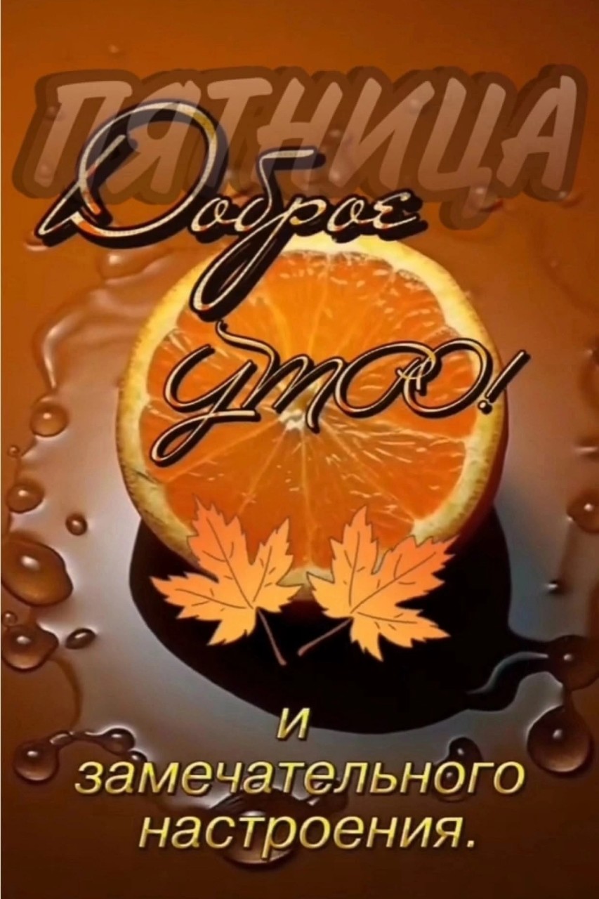 Сириус в LOOKY — публикация