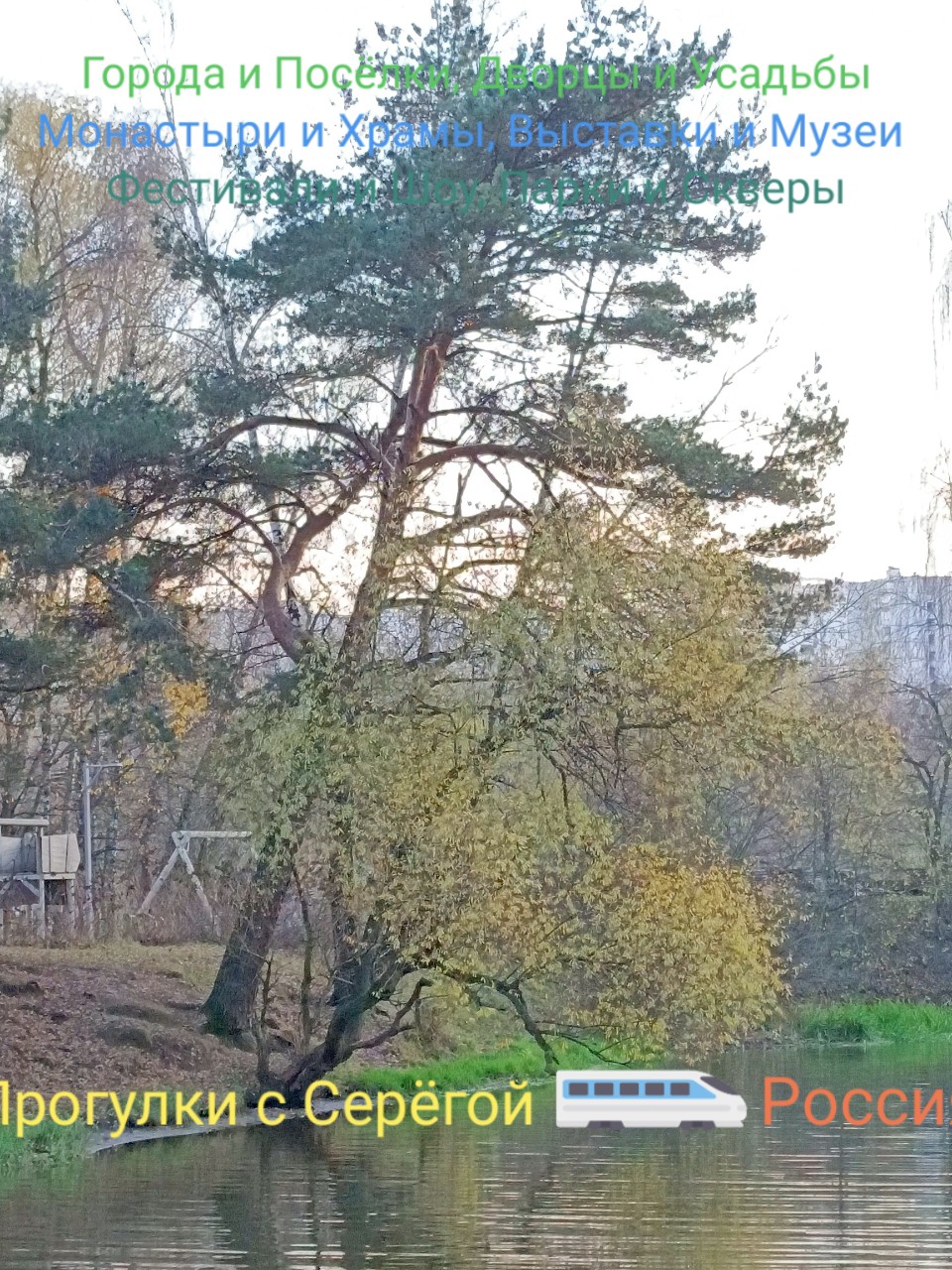 Прогулки с Серёгой в LOOKY — фото 10
