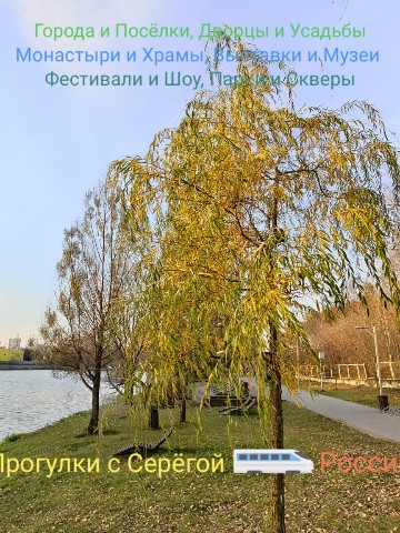Прогулки с Серёгой в LOOKY. #фото,#осень,#осеннийгород,#осеннийпарк,#деревья,#листья,#город,#посёлок,#село,#деревня,#дворец,#усадьба,#особняк,#монастырь,#храм,#церковь,#часовня,#фестиваль,#шоу,#выставка,#галерея,#музей,#парк,#сквер,#история,#архитектура,#достопримечательности,#прогулки,#поездки,#путешествия,#прогулкиссерёгой. Осень в городе и в п...