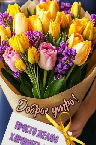 Галина Аллерт в LOOKY. . 