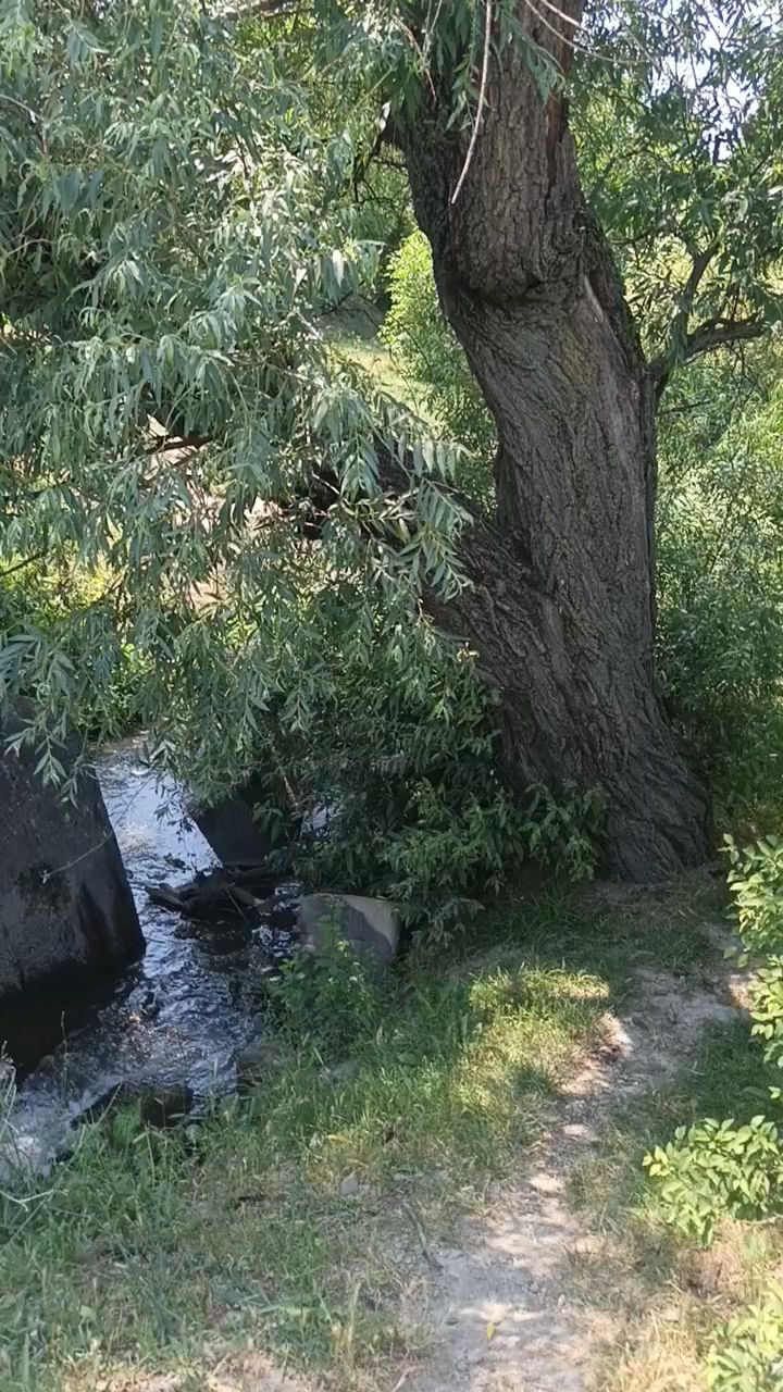  в LOOKY — публикация