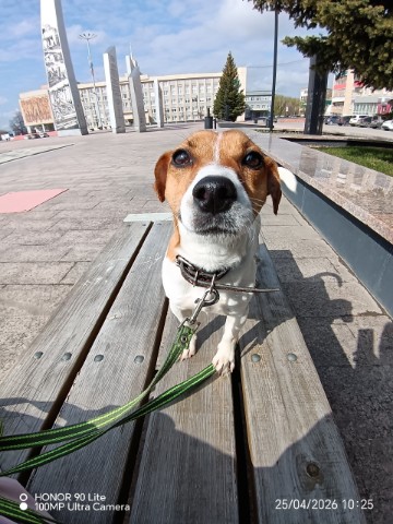 Ketttrinnn в LOOKY. . 