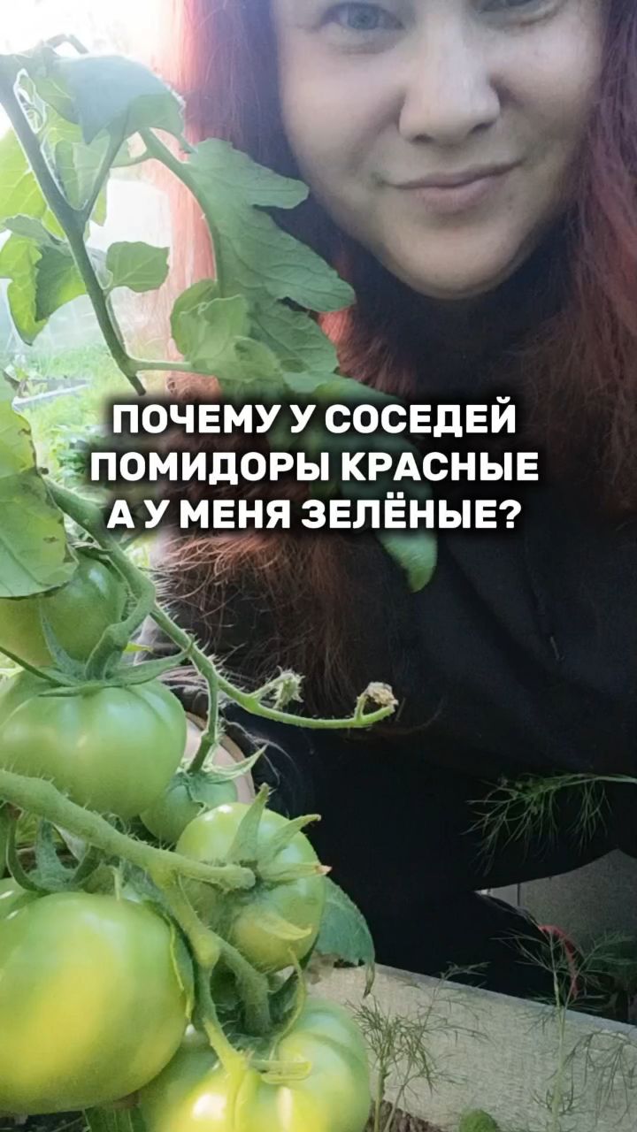 solovei_vdohnovenie в LOOKY. . Почему у соседей пом...