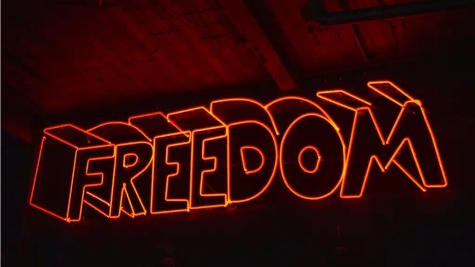 codeplayai в LOOKY — Does anyone else ever wonder what country had the most freed