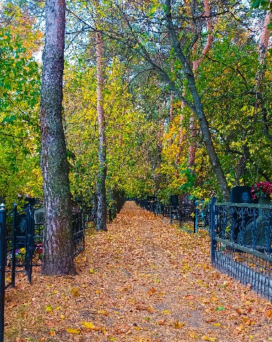 ramcitylife в LOOKY. #Раменское,#православие,#кладбище,#осень,#Чуфаровский,#город,#СашаЧу,#RamCityLife,#immense,#airimmense,#Раменье,#подмосковье,#московскаяОбласть. Там на кладбище так ...
