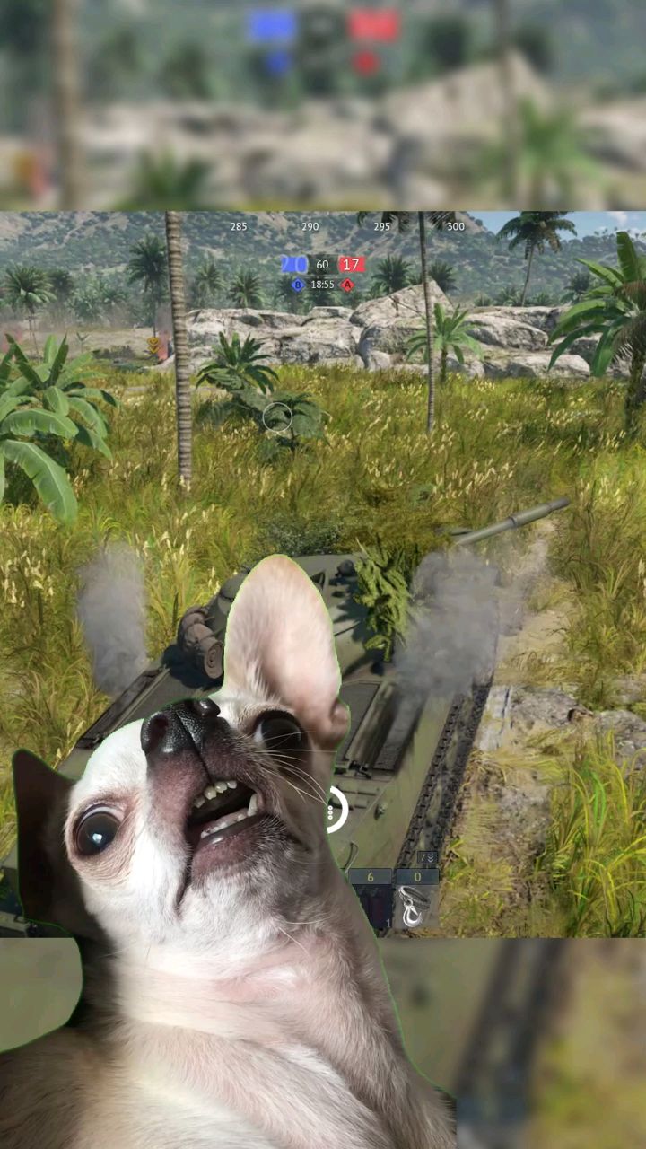 Bakerson в LOOKY. #warthunder,#игра. Type 63 #warthunder ...