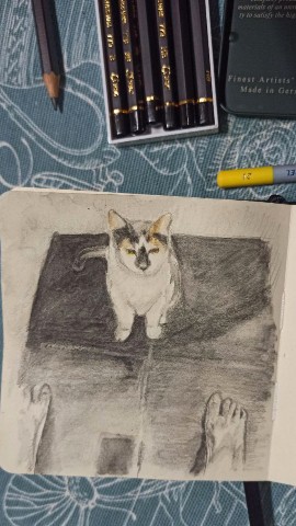 yushaart в LOOKY. #кот,#кошка,#котики,#рисунок,#скетч,#водорастворимыекарандаши,#акварельныекарандаши,#faber_castell,#derwent,#branzyel,#cat,#sketch,#artcreation. #кот #кошка #котики ...