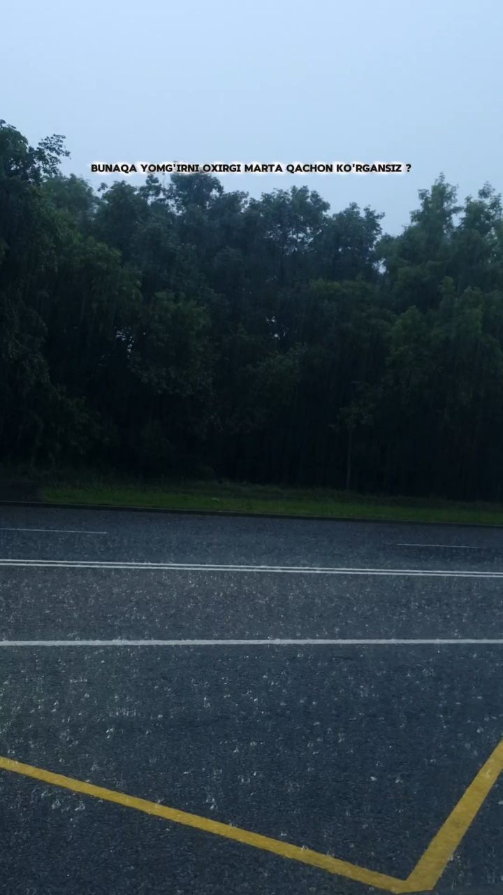 7700_cs в LOOKY. . Rainy day Moscow
