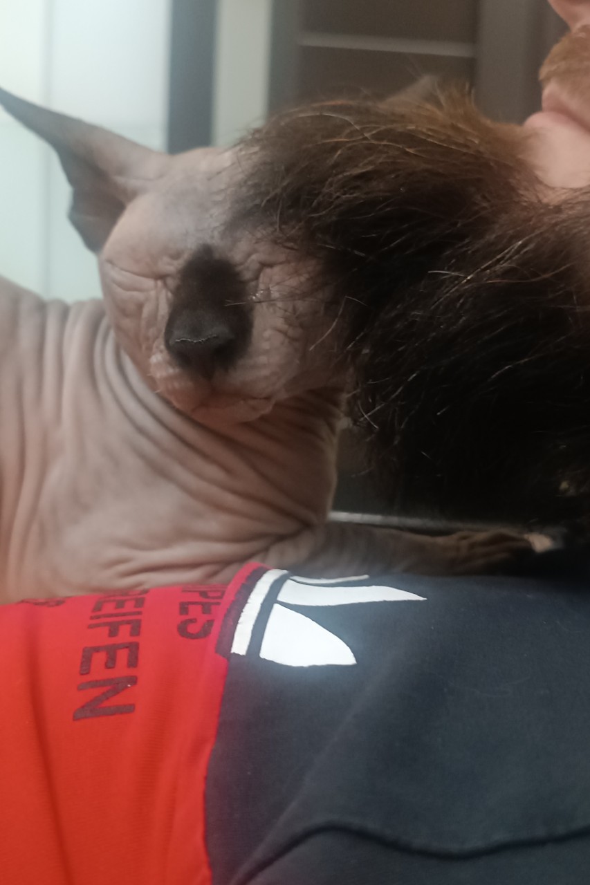 Елена в LOOKY — фото 1