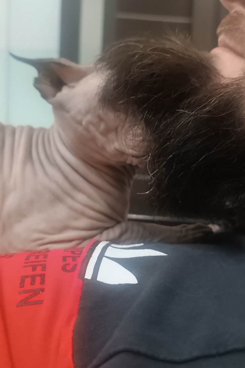 Елена в LOOKY — фото 2