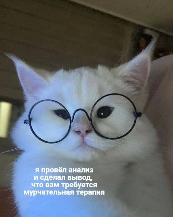 https://looky.com/post/9a980388-7187-4f5e-879d-8e67098520a8?a=646d8958-8f10-48e4-a36d-157ce393c0eb