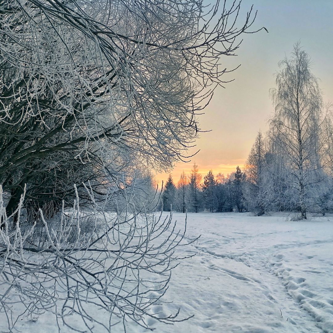 .
Дни в декабре коротковаты, рассвет сливается с закатом.
________
#зима #рассвет #закат #лес #природа #пейзаж
