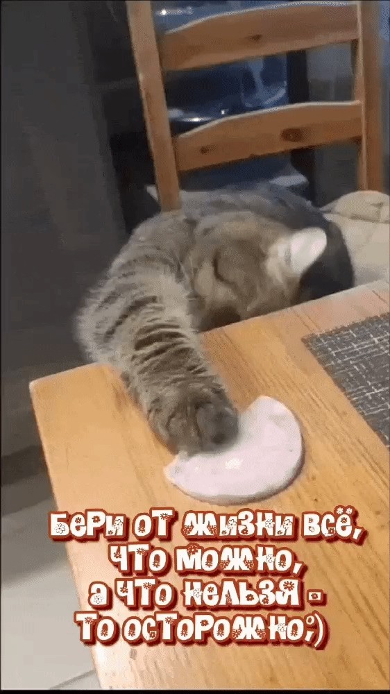 Вячеслав Кузнецов