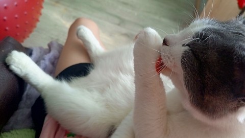Козлова Женя в LOOKY. #кот. Шалушка #кот