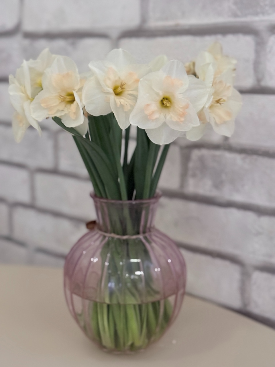 Мамины цветочки 🥰🫶

#девушкацветок#обожаюцветы#