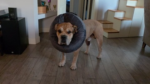 anbarinova в LOOKY. . Мать ехидна :)