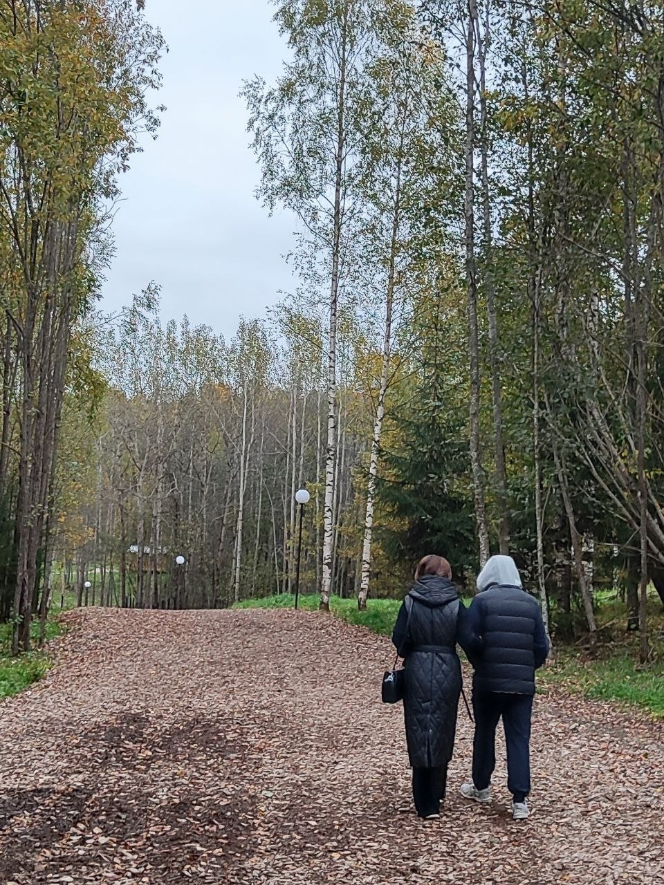 Вологодская область, Семёнково