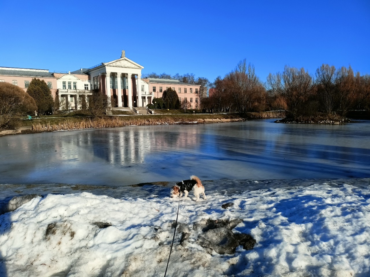 cherkasovamari in LOOKY. . Январские зарисовки