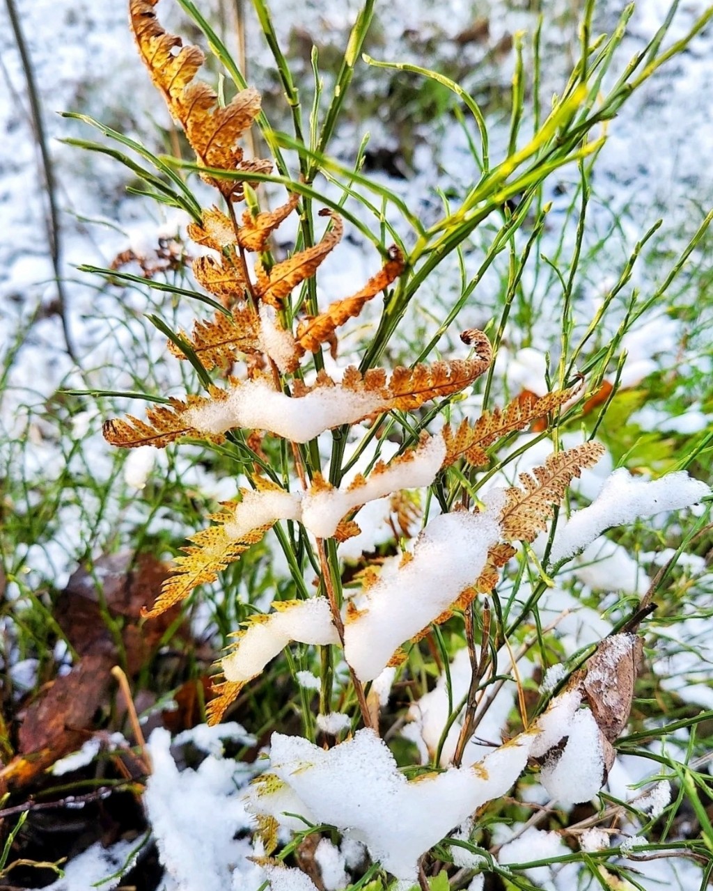Виктор в LOOKY. #осень
#карелия,#karelia,#karjala,#живувкарелии,#природа,#природакарелии,#photonature,#looky_official,#LOOKY_контент,#looky_you,#you,#looky_топ. ❄️Карелия🌲Karjala❄️...