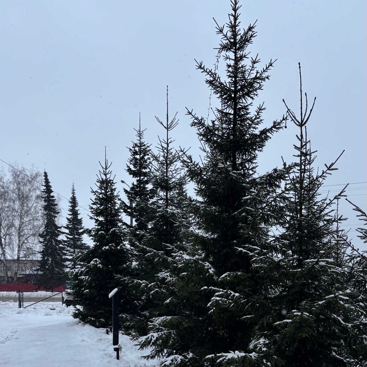 Сказочно красиво было сегодня ❄️🌨️

#зима #зимняясказка