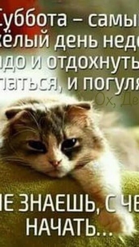 Irina в LOOKY — фото 8