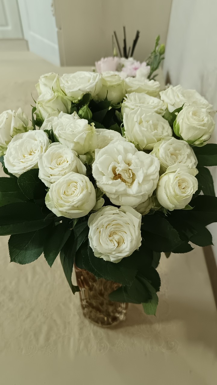 Цветы
[#цветы ](цветы)[#розы ](розы)[#белыерозы ](белыерозы)[#flowers ](flowers)[#flower ](flower)[#rose ](rose)