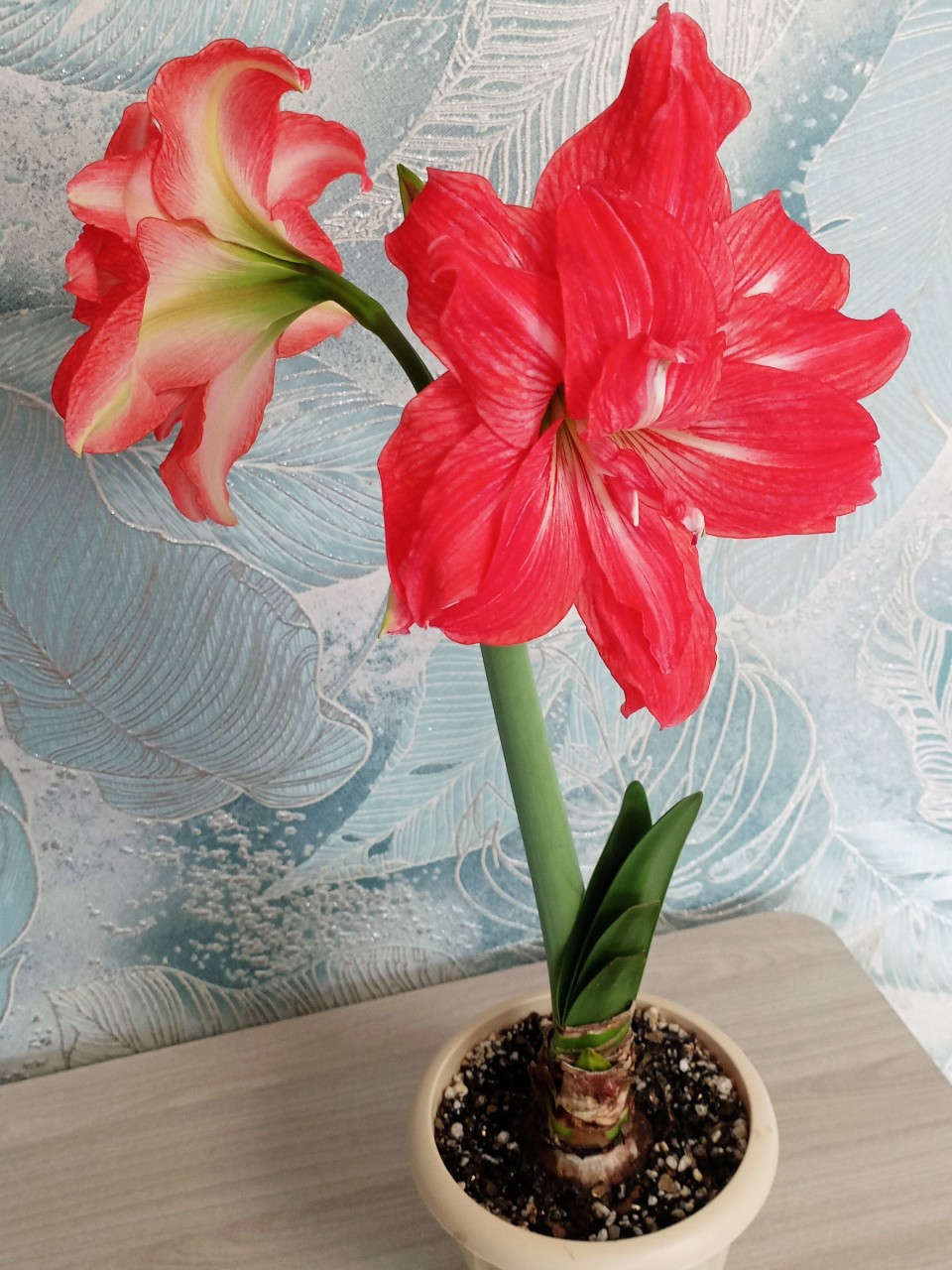 Лёля в LOOKY. . Настроение - Весна �...