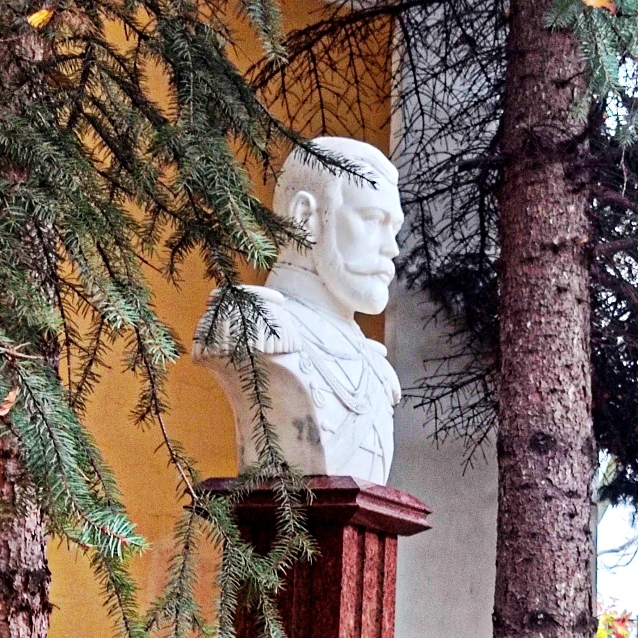 Semelka в LOOKY — фото 8