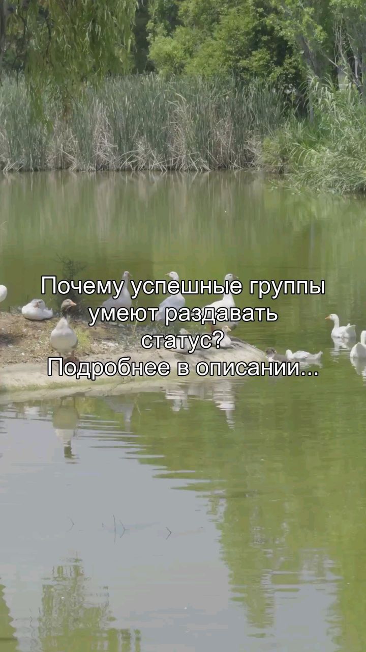Oleg_teem в LOOKY. #статус,#команда,#лидерство,#уважение,#психология. Есть группы, в котор...