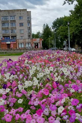 Таня Чаженская в LOOKY. #мойгород#лето#прогулкавпарке#. Такая красота - цвет...