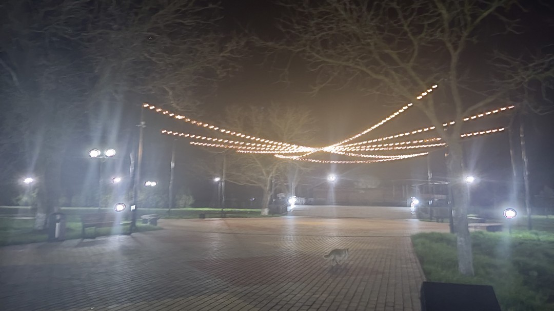 borm_crimea в LOOKY — Вечерний парк в поселке Первомайское #крым #ночь #парк