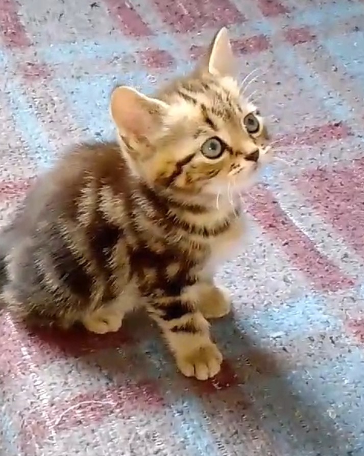 Уже сегодня малыш ты попадёшь к нам в семью! ❤️ 
Ждала с первого дня твоего рождения, буквально.