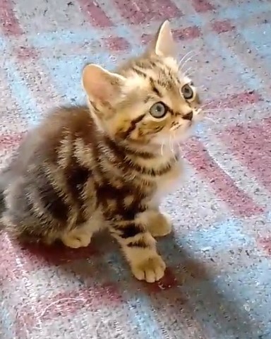 JulyLife в LOOKY. . Уже сегодня малыш ты...