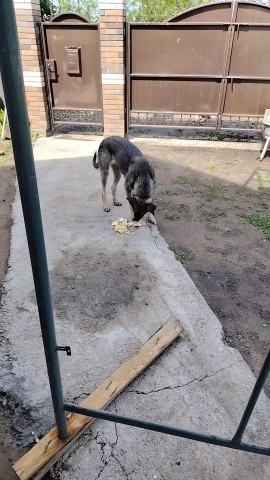Лика в LOOKY. . Красавица наша🤗🤗🤗...