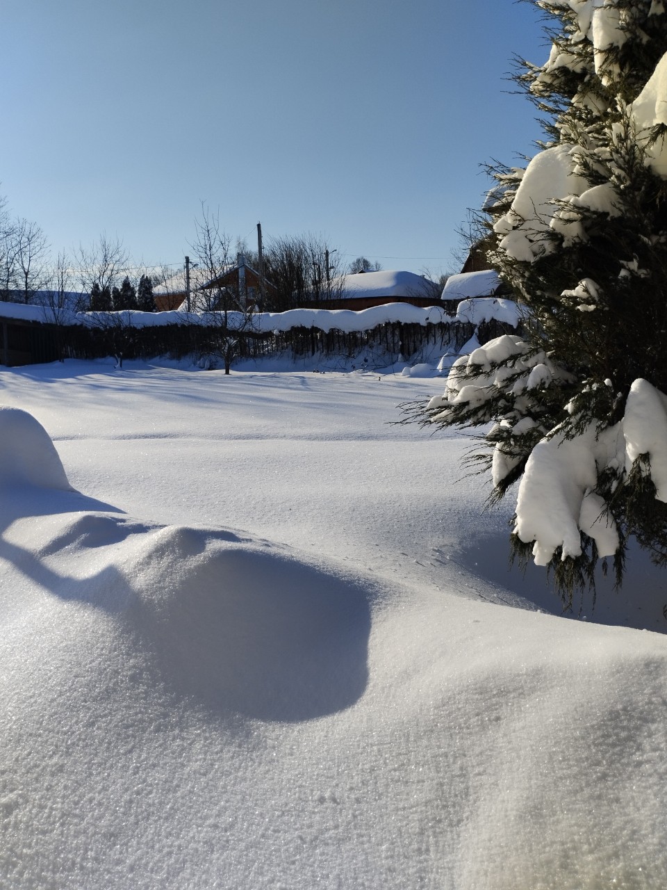 olga.ivanova77 в LOOKY — фото 5