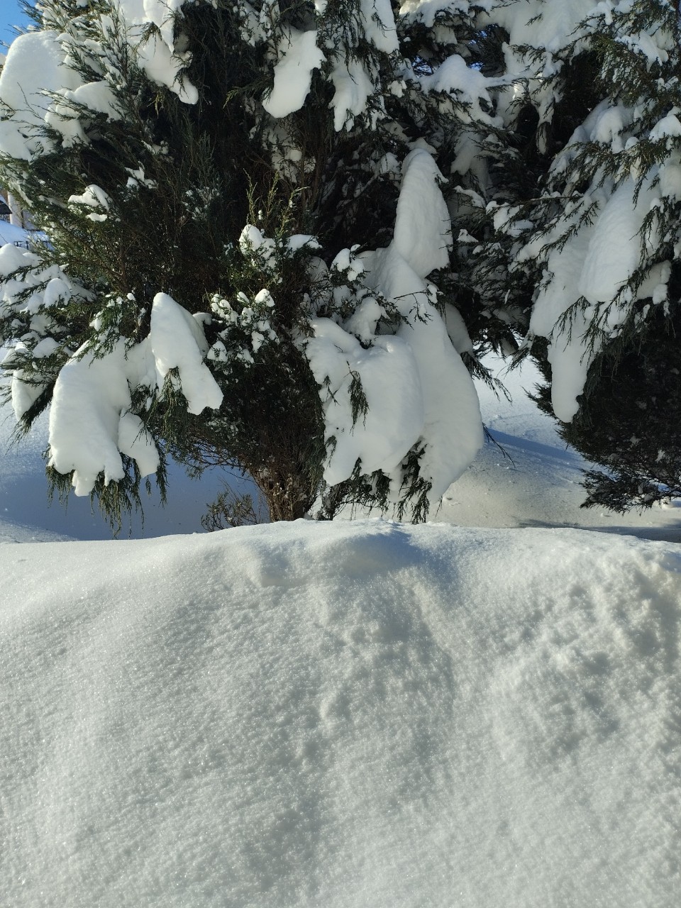 olga.ivanova77 в LOOKY — фото 7